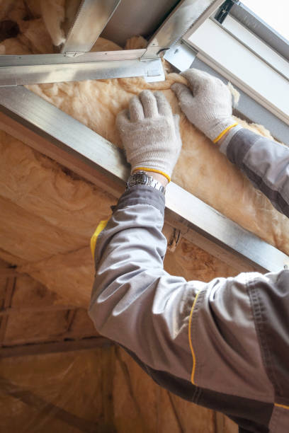 Best Soundproof Insulation  in Brevard, NC