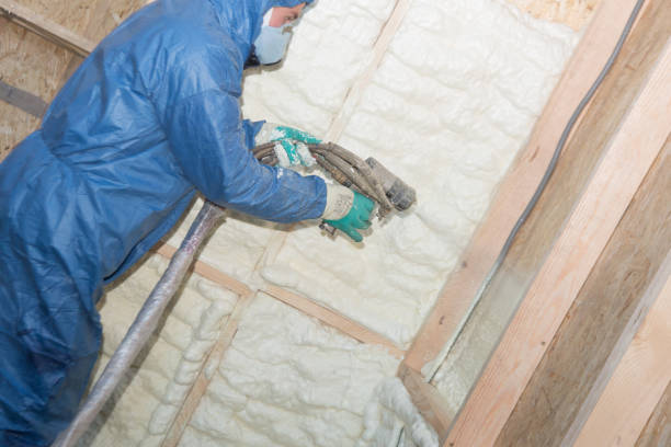 Best Spray Foam Insulation  in Brevard, NC